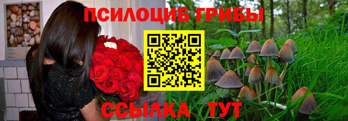 цены   Вход с VPN  Губаха  Галлюциногенные грибы мухоморы 