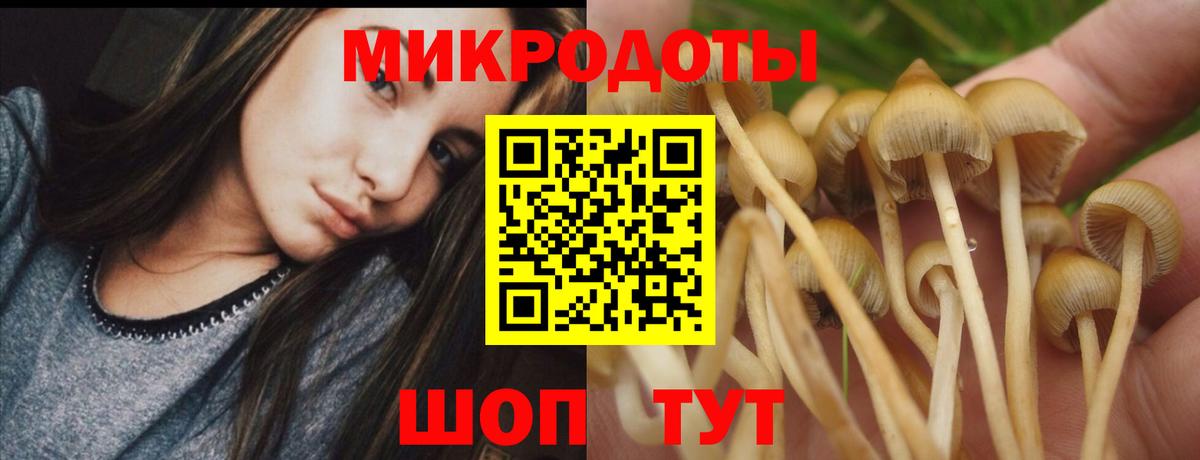Псилоцибиновые грибы мухоморы Губаха